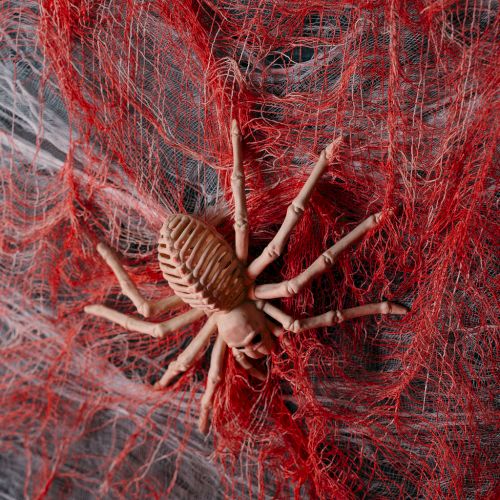 A realistic spider model is placed on a web of red and gray threads, creating a dramatic and eerie effect.