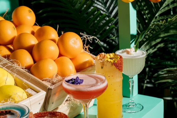 Assorted cocktails with decorative fruits in a tropical setting.